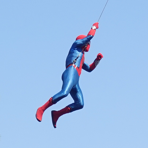The Amazing Spider-Man! Icon