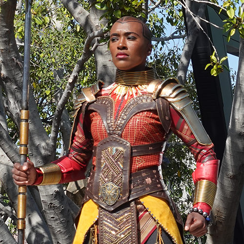 Warriors of Wakanda: The Disciplines of the Dora Milaje Icon