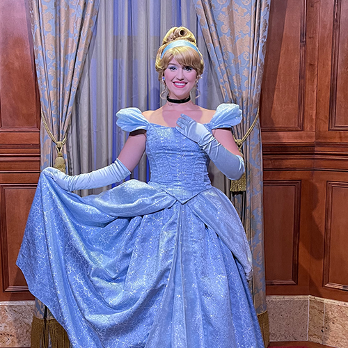 Meet Cinderella and a Visiting Princess at Princess Fairytale Hall Icon