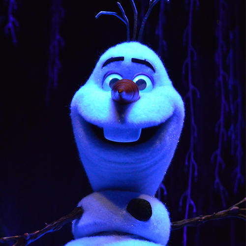 Frozen Ever After Icon