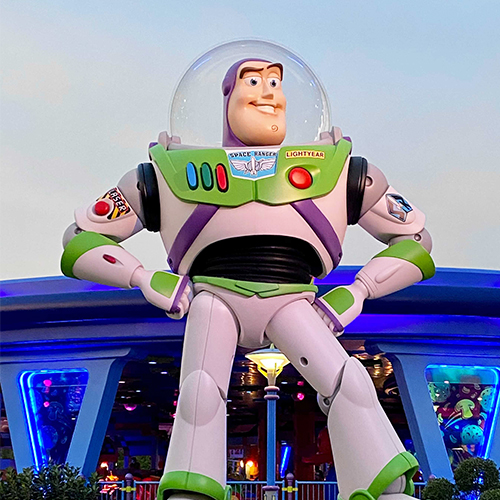 Toy Story Land Icon