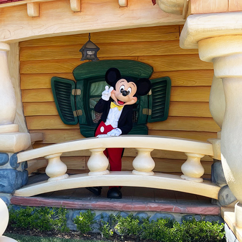 Mickey's Toontown Icon