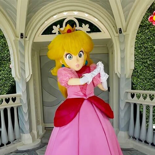Meet Princess Peach Icon