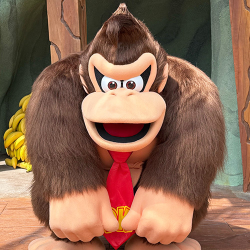Donkey Kong