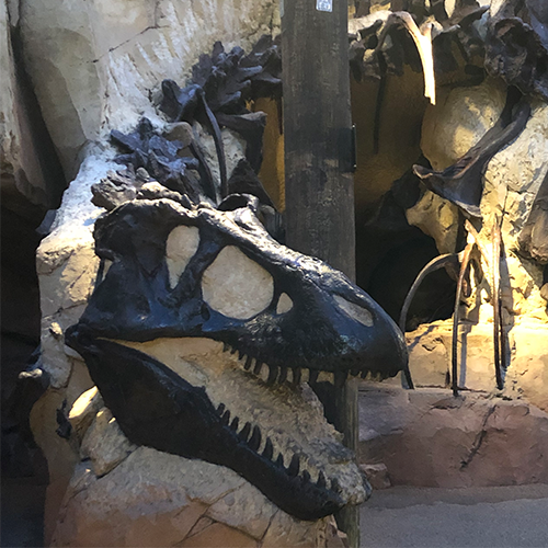 DINOSAUR and DinoLand Attractions to Close Early at Disney's Animal Kingdom  on November 14th and 16th - WDW News Today