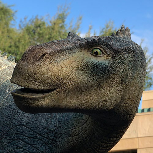 Dinosaur (Disney's Animal Kingdom), Dinosaur Wiki